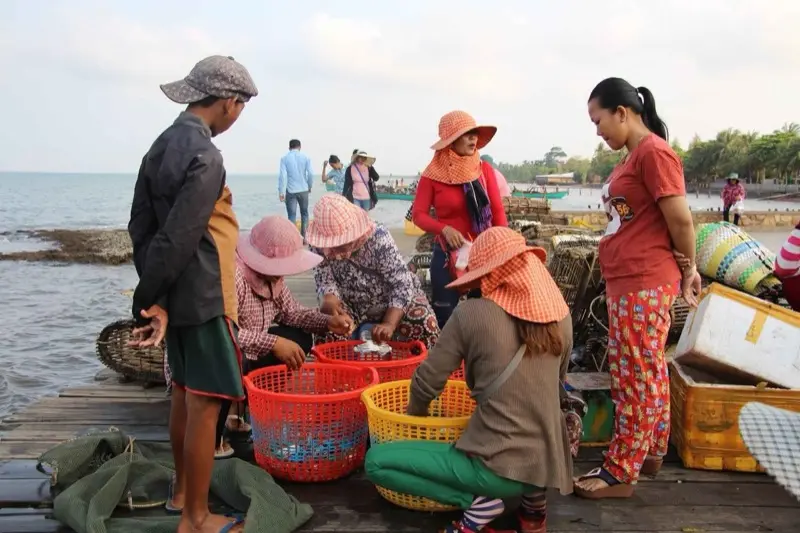 Frauen mit Sonnenhüten sortieren den Fang in Körbe auf einem Holzsteg am Meer