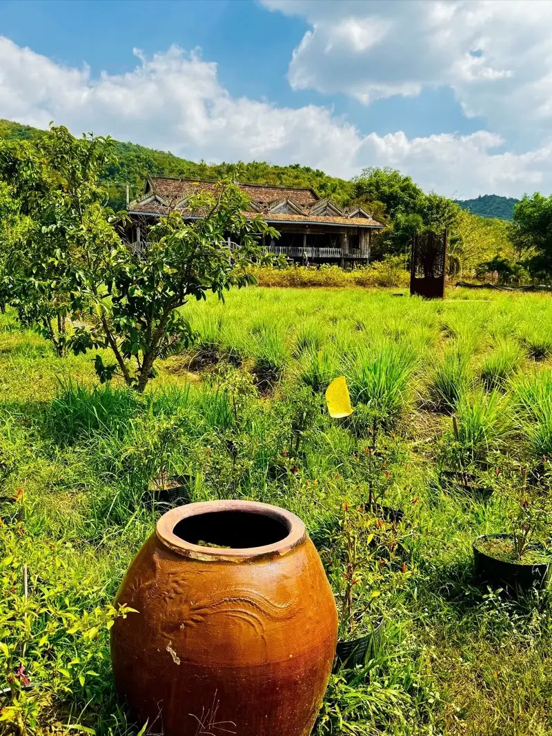 Dragon jars among the pepper fields at La Plantation, Kampot