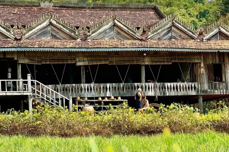 Besucher vor einem großen Khmer-Holzhaus auf Stelzen hinter einem grünen Feld auf dem Land bei Kampot