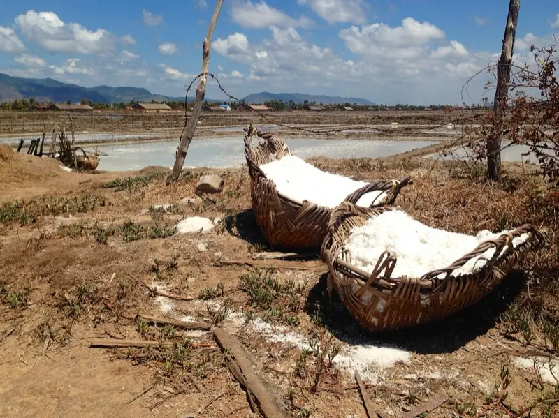 Baskets of sea salt beside the Kampot salt fields